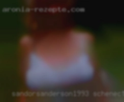sandorsanderson1993 Schenectady New York
